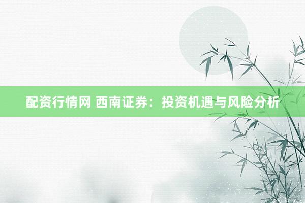配资行情网 西南证券：投资机遇与风险分析