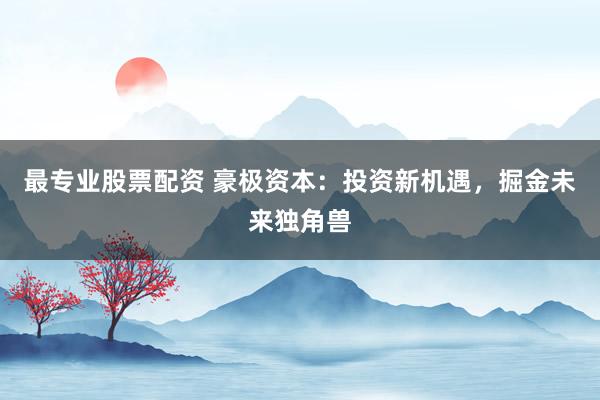最专业股票配资 豪极资本：投资新机遇，掘金未来独角兽
