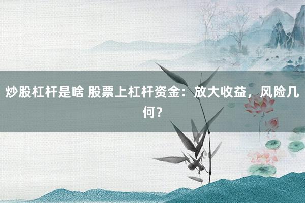 炒股杠杆是啥 股票上杠杆资金：放大收益，风险几何？