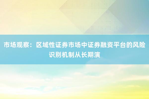 市场观察：区域性证券市场中证券融资平台的风险识别机制从长期演