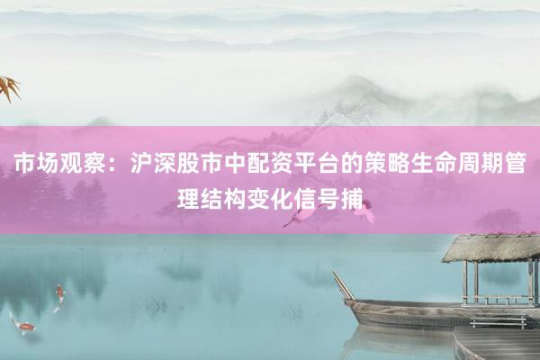 市场观察：沪深股市中配资平台的策略生命周期管理结构变化信号捕