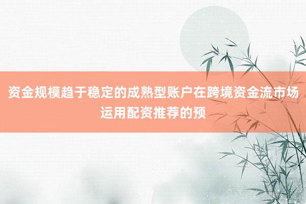 资金规模趋于稳定的成熟型账户在跨境资金流市场运用配资推荐的预