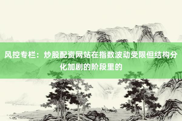风控专栏：炒股配资网站在指数波动受限但结构分化加剧的阶段里的