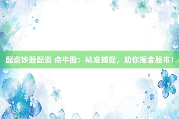 配资炒股配资 点牛股：精准捕捉，助你掘金股市！